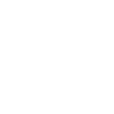 SBT